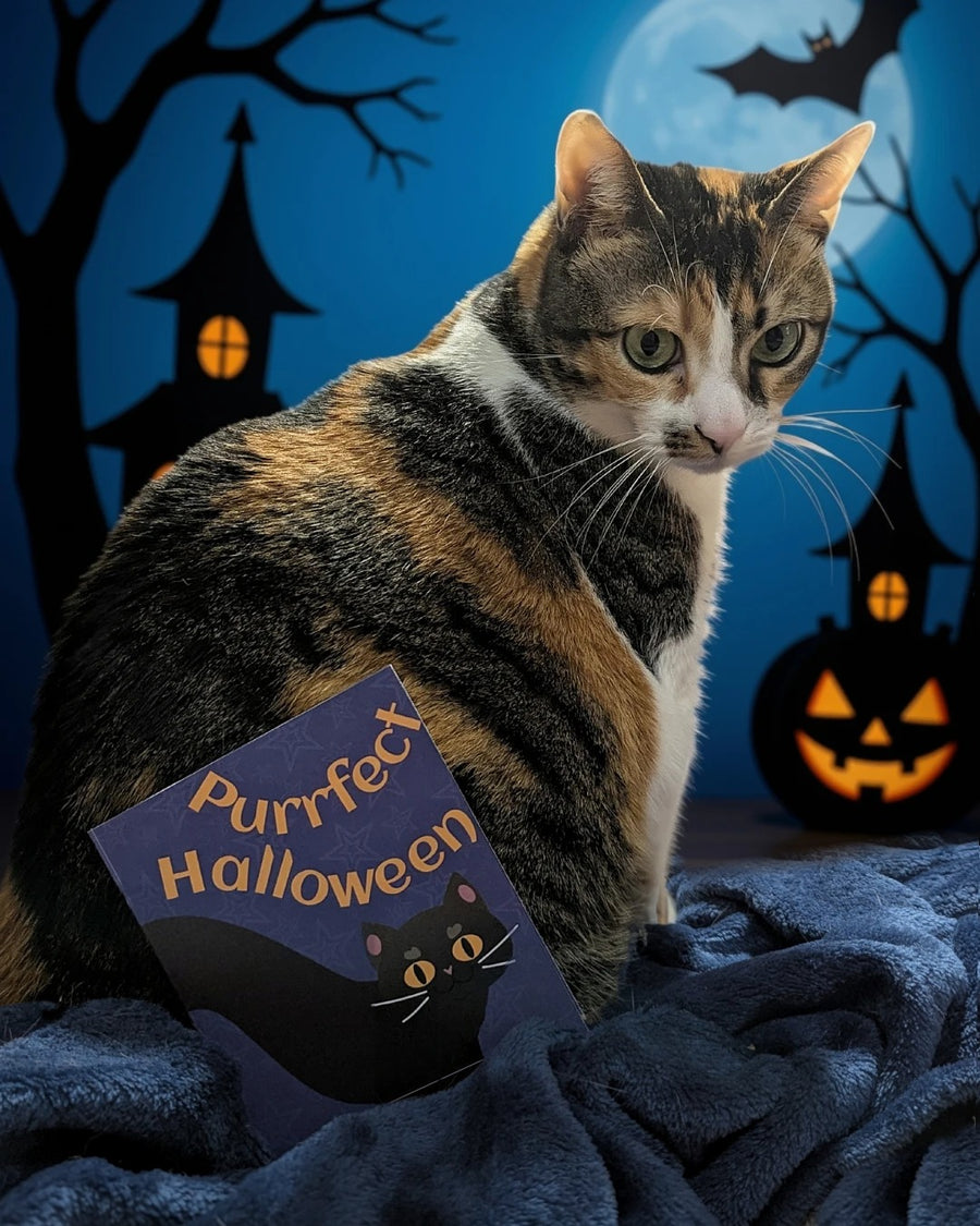 Halloweenkortti Purrfect Halloween – kalikokissa ja kortti sinisellä viltillä halloween-tunnelmassa